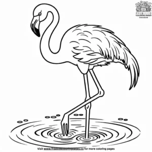 Playful flamingo in water coloring pages