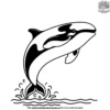 Playful Orca Coloring Pages