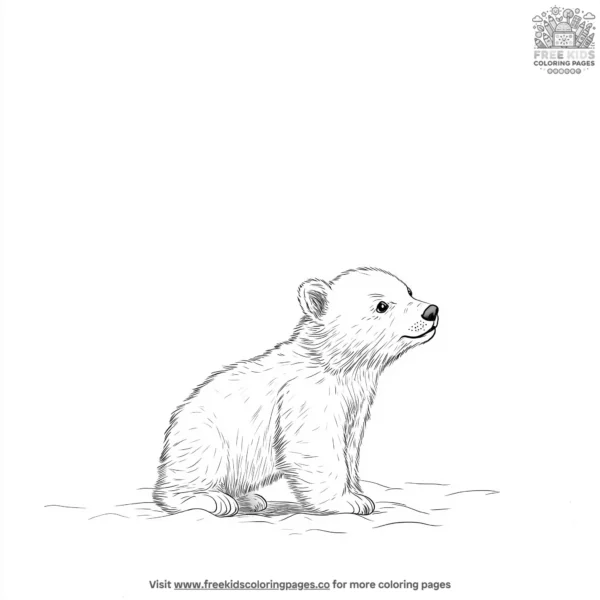 Polar bear cub coloring pages