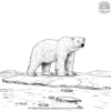 Polar Bear On Ice Coloring Pages