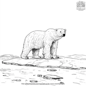 Polar Bear On Ice Coloring Pages