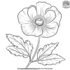 Poppy Flower Coloring Pages