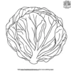 Radicchio Coloring Pages