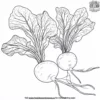 Radish Coloring Pages