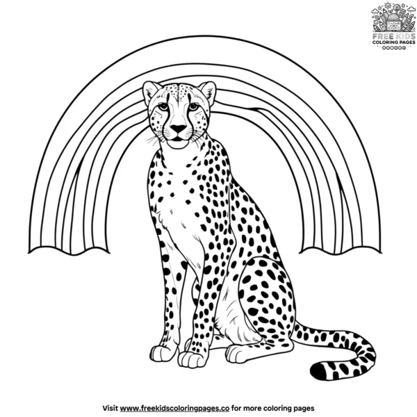 Rainbow and cheetah coloring pages