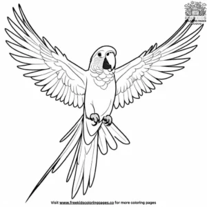 Rainbow parrot coloring pages