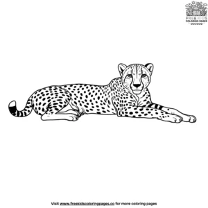 Resting Cheetah Coloring Pages