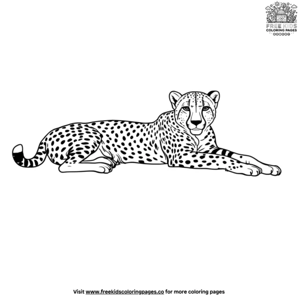 Resting cheetah coloring pages