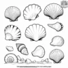 Seaside Shells Coloring Pages