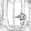 Sentinel In The Forest Coloring Pages