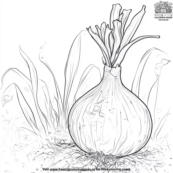 Shallot coloring pages