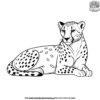 Sleepy Cheetah Coloring Pages