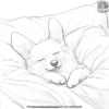 Sleepy Corgi Coloring Pages