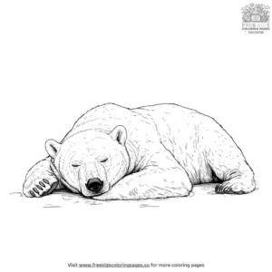 Sleepy Polar Bear Coloring Pages