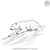 Sliding Polar Bear Coloring Pages