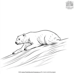 Sliding Polar Bear Coloring Pages