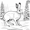 Snowshoe Hare Coloring Pages