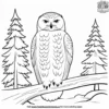 Snowy Owl Coloring Pages