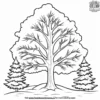 Snowy Tree Coloring Pages