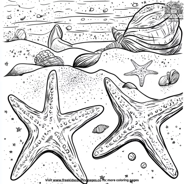 Starfish and seashells coloring pages