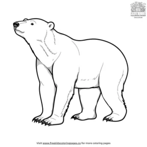 Stretching Polar Bear Coloring Pages