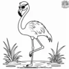 Stylish Flamingo with Sunglasses Coloring Pages