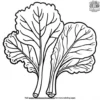 Tender Swiss Chard Coloring Pages