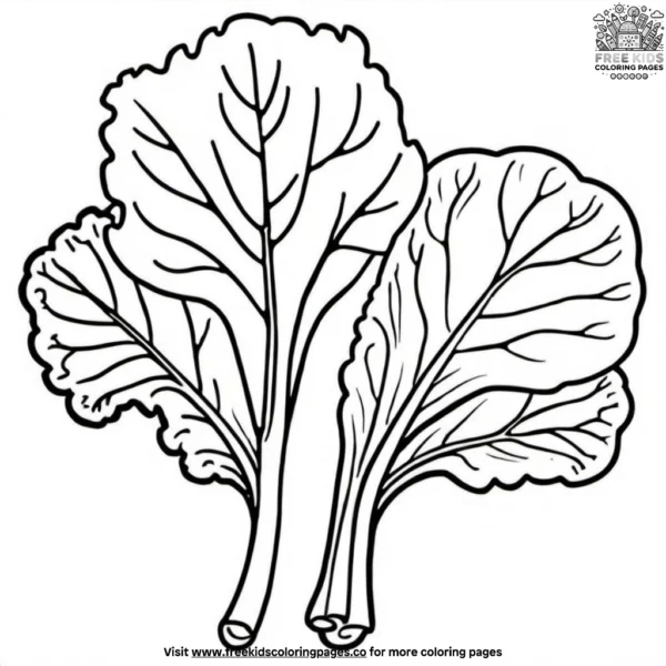 Tender swiss chard coloring pages