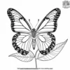 Tiger Butterfly Coloring Pages