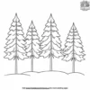 Towering Evergreen Forest Coloring Pages