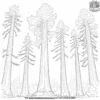 Towering Sequoia Grove Coloring Pages