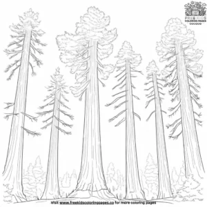 Towering Sequoia Grove Coloring Pages