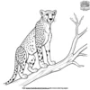 Tree Cheetah Coloring Pages