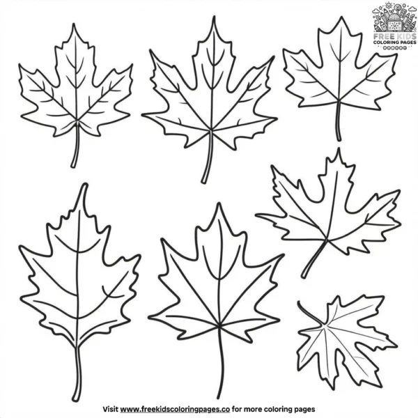 Vibrant autumn foliage coloring pages