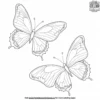 Vibrant Butterfly Garden Coloring Pages