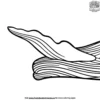 Whale Dorsal Coloring Pages