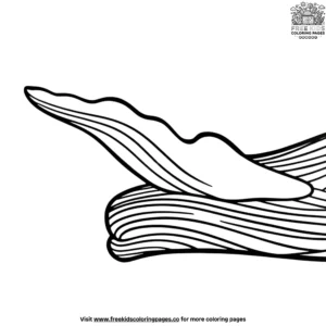 Whale Dorsal Coloring Pages