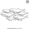 Whale Family Coloring Pages