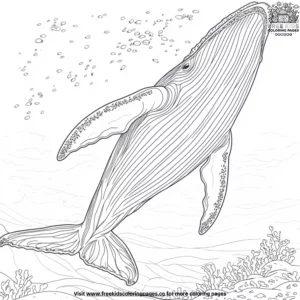 Whale Fins Coloring Pages