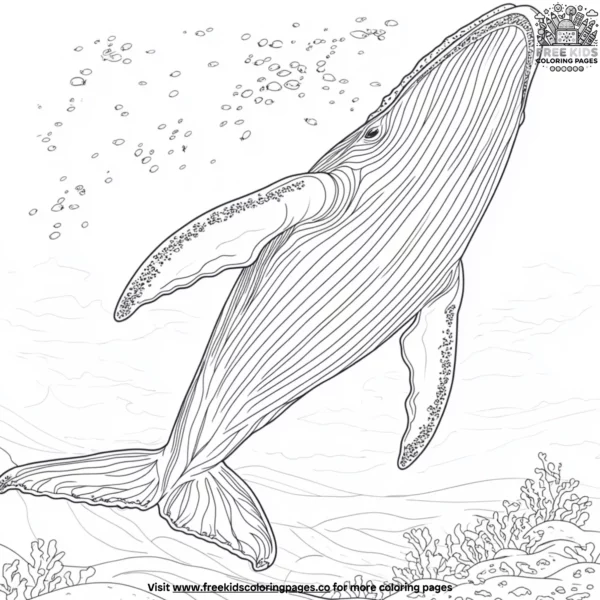 Whale fins coloring pages