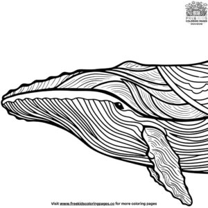 Whale Patterns Coloring Pages