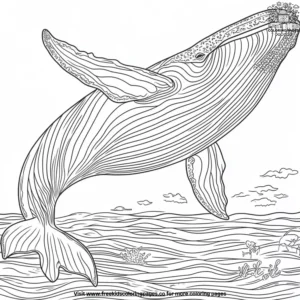 Whale Silhouette Coloring Pages