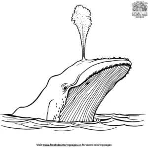 Whale Spout Coloring Pages