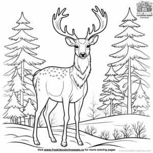 Winter Deer Coloring Pages