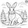 Winter Rabbit Coloring Pages