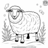 Woolly Sheep Coloring Pages