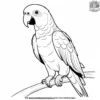 Yellow Naped Parrot Coloring Pages