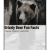 Grizzly Bear Fun Facts Printable