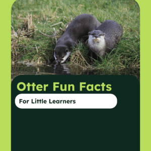 Otter Fun Facts Printable