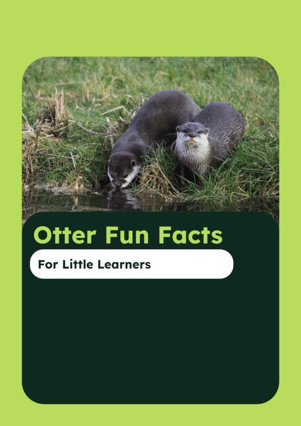 Otter fun facts printable